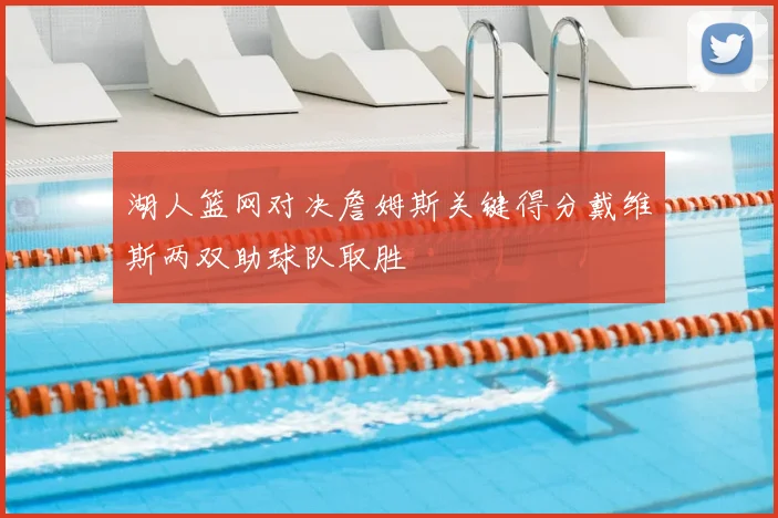 湖人篮网对决詹姆斯关键得分戴维斯两双助球队取胜