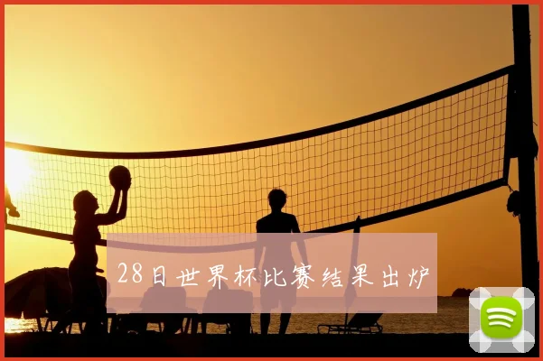 28日世界杯比赛结果出炉