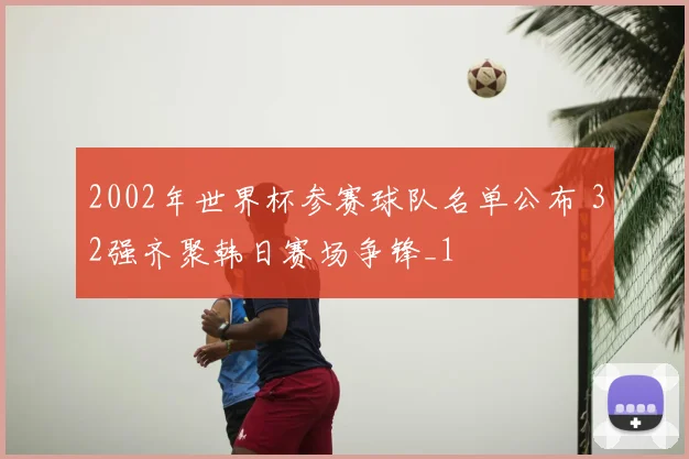 2002年世界杯参赛球队名单公布 32强齐聚韩日赛场争锋_1