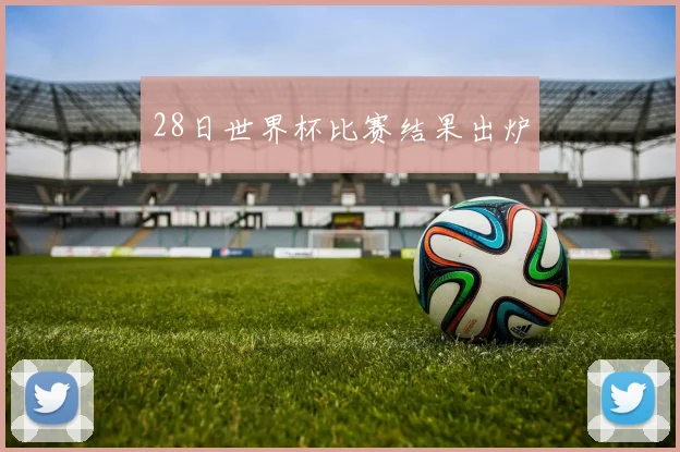 28日世界杯比赛结果出炉