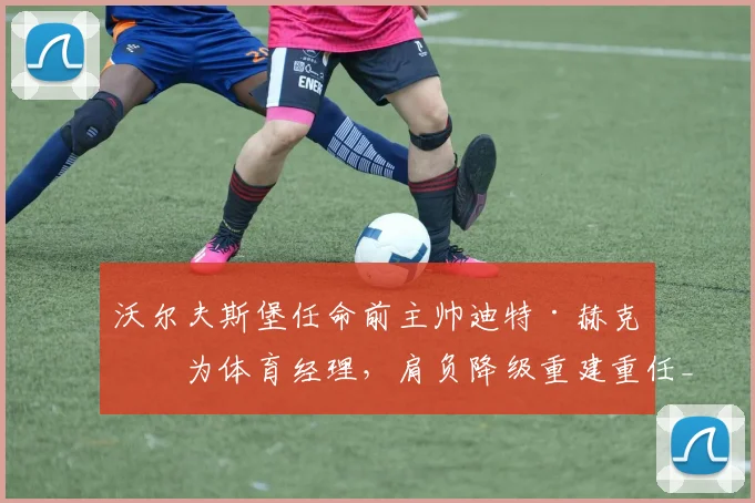 沃尔夫斯堡任命前主帅迪特·赫克兴为体育经理，肩负降级重建重任_部分_球员_狼堡