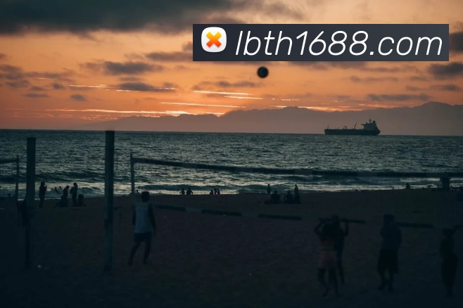 ky体育服务体系